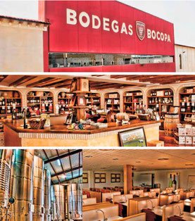 Фото с сайта http://www.bocopa.com/