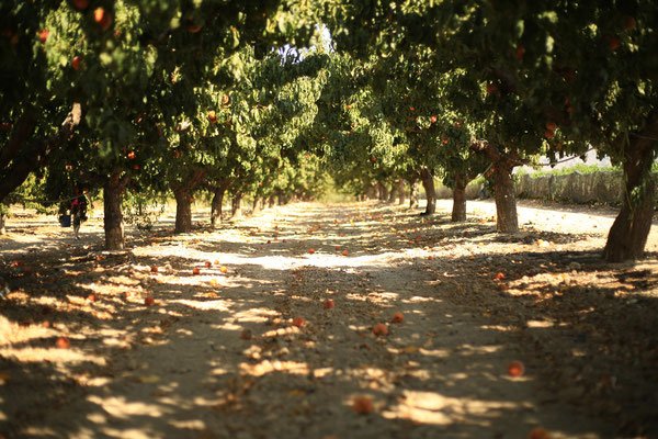 Здесь хочется остаться пожить хотя бы недельку!