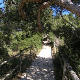 Удобные дорожки...