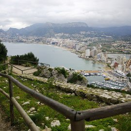 Ограждения и виды