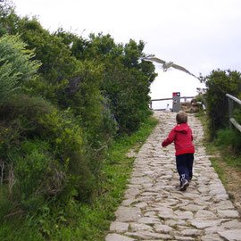 Мы уже говорили, что чайки тут за главных?:)