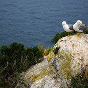 Наблюдают, чтобы порядок был