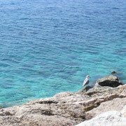 Цвет воды. Он на самом деле такой!