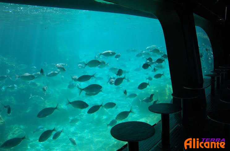 Виды из катамарана