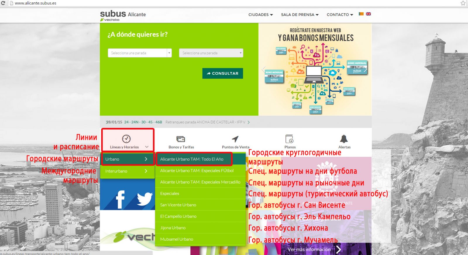 Рис. 4. Городской транспорт Аликанте. Автобусы Vectalia (бывшие Subus). Городские маршруты Аликанте.